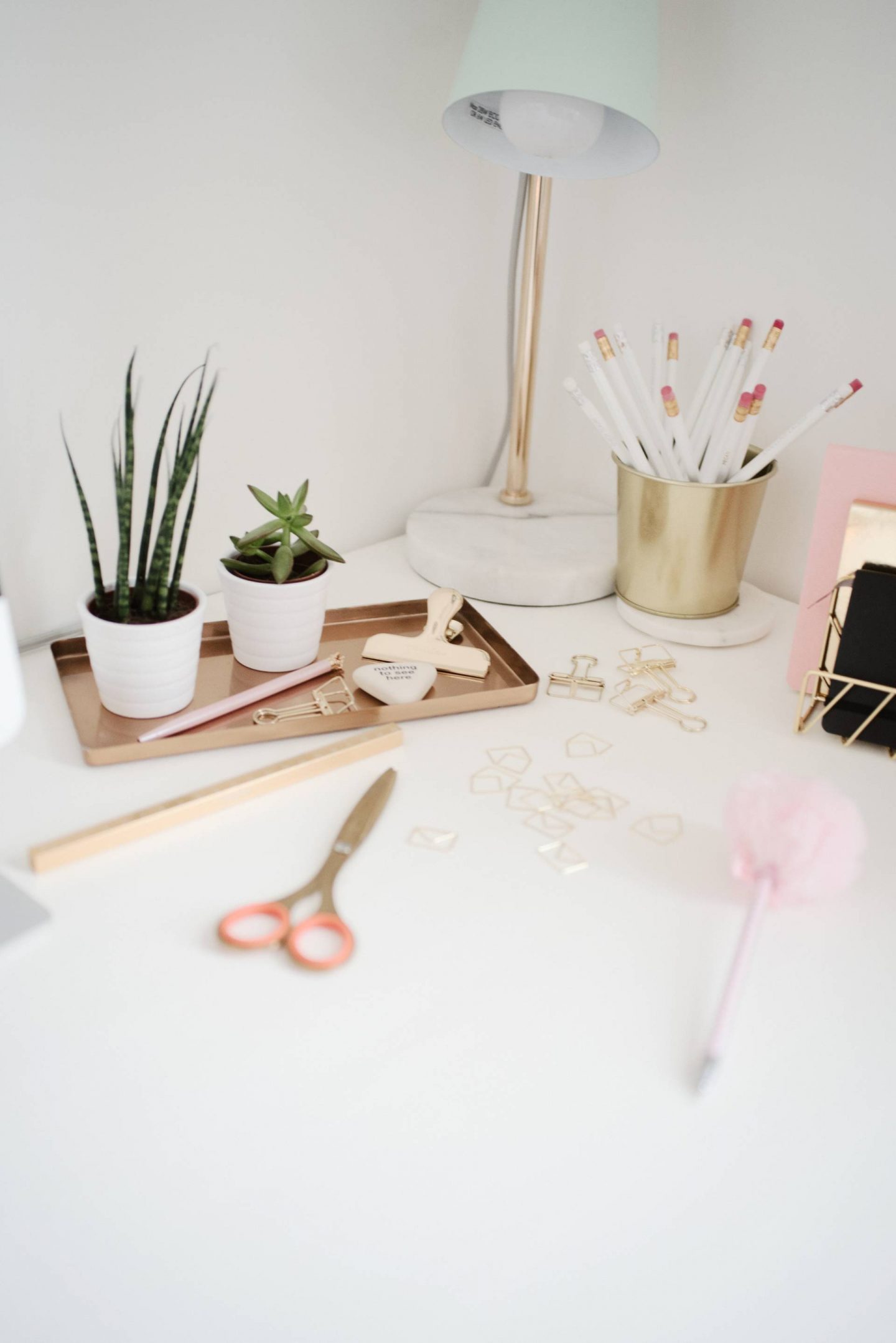 5 TOP TIPS TO SUCCESSFULLY WORKING FROM HOME | Megan Taylor
